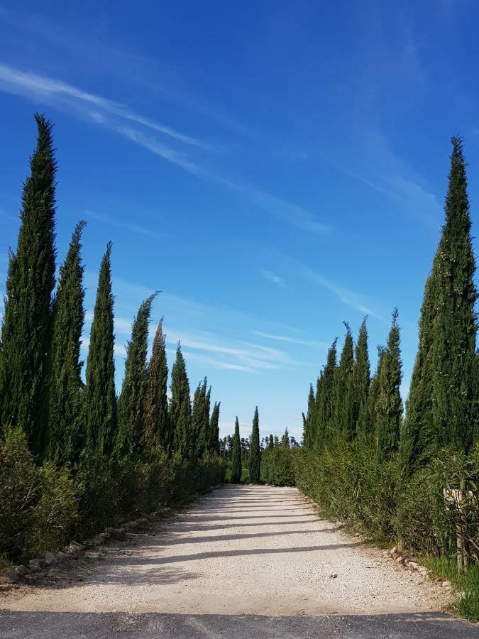 Le Mas De Guiguite Mézoargues Esterno foto